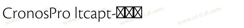 CronosPro ltcapt字体转换